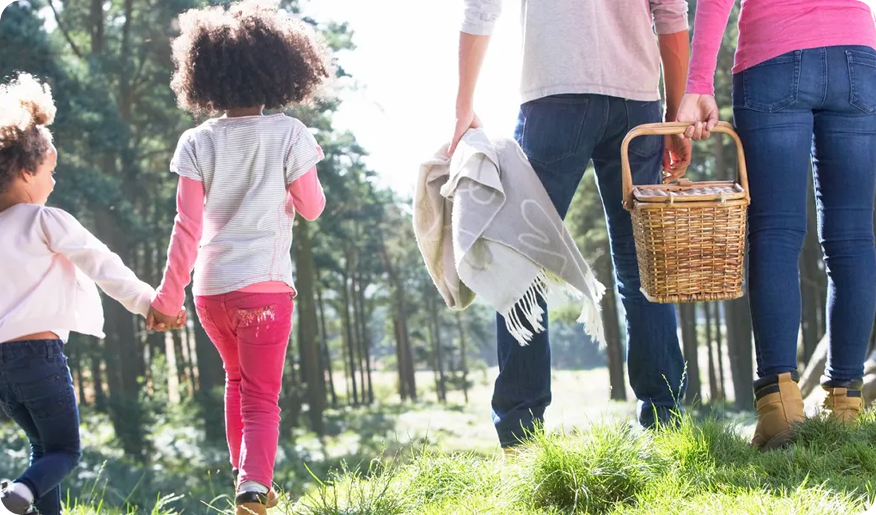 Family outing with picnic basket