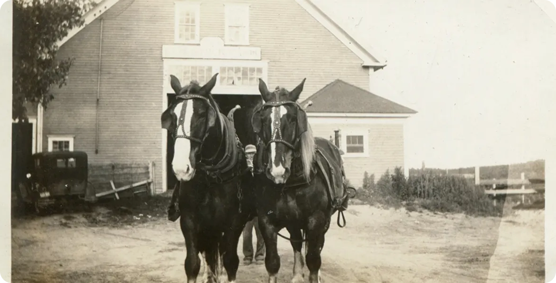 Two horses in front of barn