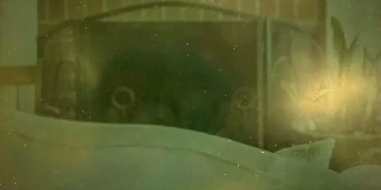 Mysterious eyes in dim light
